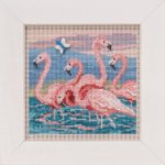 (image for) Flamingos (2019)